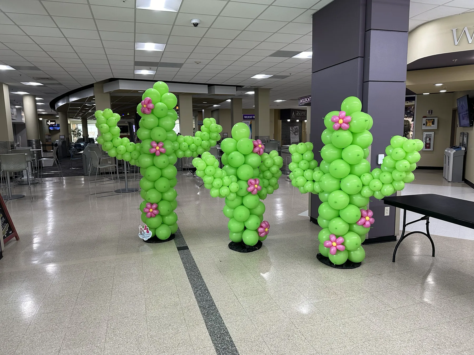 Cactus-themed balloon columns for a school event